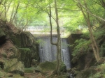 shimasabou.jpg