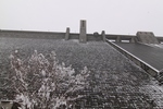 snowshimagawa.jpg